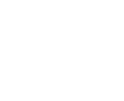pro-icon-1