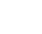 pro-icon-2