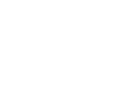 pro-icon-2
